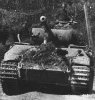 Panzerkampfwagen V Panther (29)
